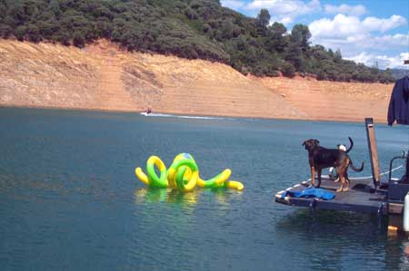 Shasta Lake