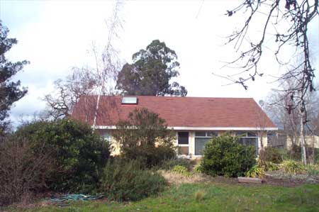 house and garden, windy day