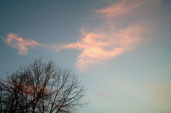 pink clouds