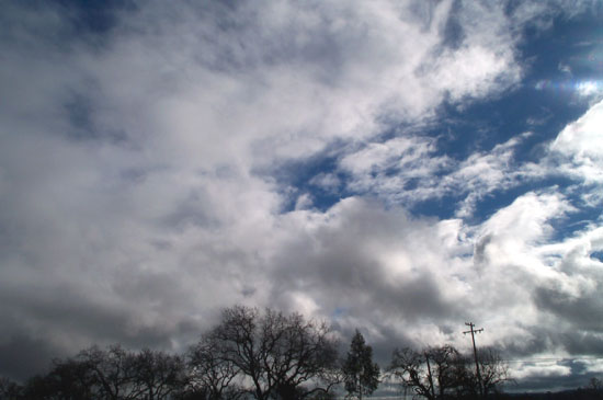 clouds over the oaks