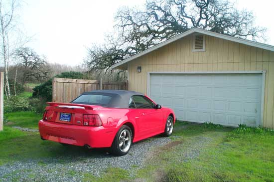 red Mustang