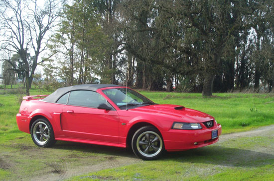 red Mustang