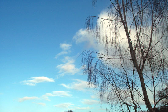 winter clouds