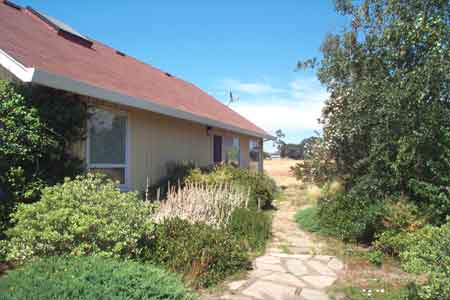 looking from the driveway