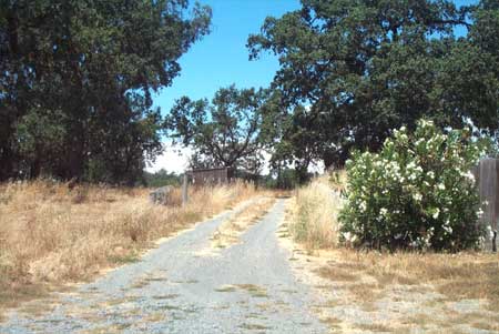 my driveway