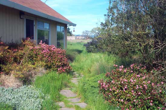 garden path