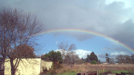 rainbow from my back porch