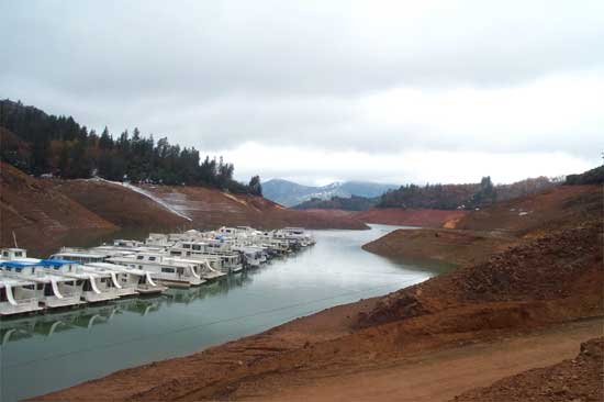 Shasta Marina