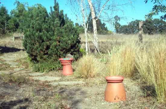 birdbath, butterfly garden