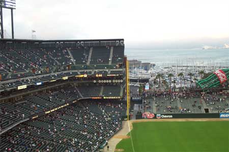 left field stands