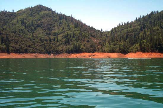 Shasta Lake