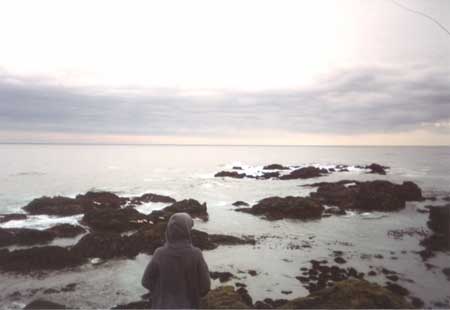 David on the rocks, 1993